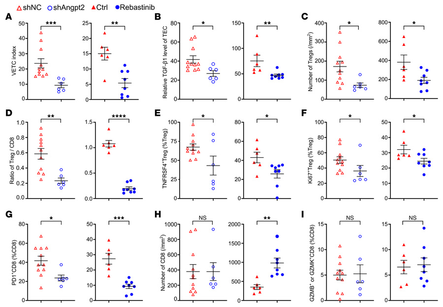 Disruption of VETC formation by inhibiting the Angpt2/Tie2 signaling rel...