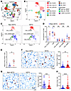 Single cell RNA-seq and IHC staining reveal an increase of Tregs and a decr