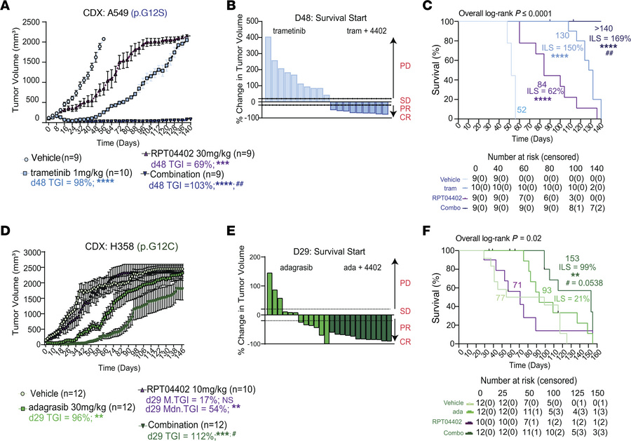RPT04402 delays RAS/MAPKi-induced acquired resistance in KRAS-mutant NSC...