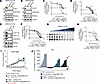 Demethylation of PP2ACα drives intrinsic resistance to RAS/MAPK inhibition