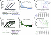 RPT04402 delays RAS/MAPKi-induced acquired resistance in KRAS-mutant NSCLC