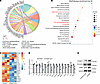 S100a4+ macrophages express ECM proteins.