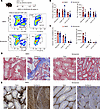 Niclosamide inhibits tissue damage and fibrosis in UPEC-induced epididymo-o