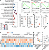 TLR4 activation by DAMPs induces activin A expression in Mrep.