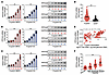 PPFIA4 is increased in GECs from gastric mucosa of H. pylori–infected patie