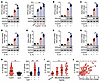 H. pylori and IL-33 induce PPFIA4 synergistically.