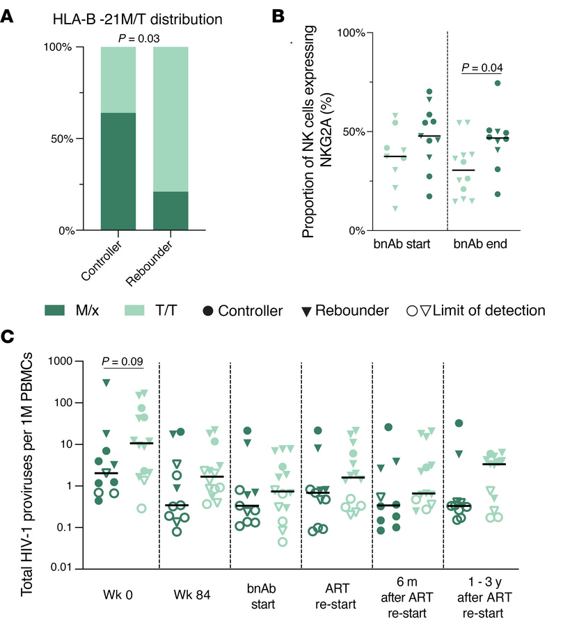 Distribution of the HLA-B21 M/T polymorphism in the Tatelo cohort.
(A) P...
