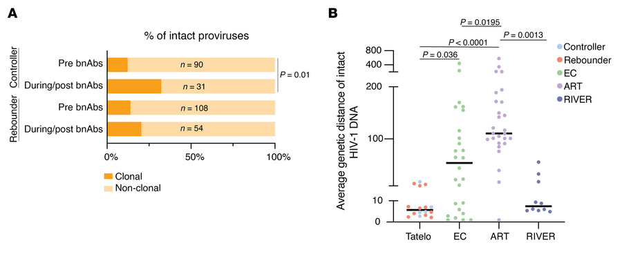 Clonality and genetic distance of intact proviruses in the Tatelo cohort...