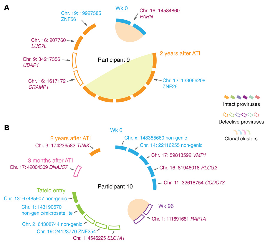 Proviral integration site analysis in Tatelo study participants 9 and 10...