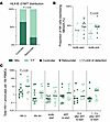 Distribution of the HLA-B21 M/T polymorphism in the Tatelo cohort.