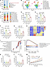 γδ T cell–mediated suppression of radiosensitivity through MDSC recruitment