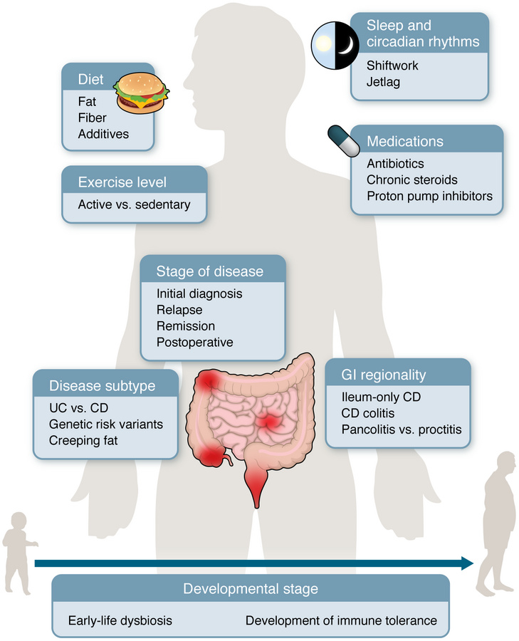 Contextual drivers of the microbiome in IBD.
The specific role played by...
