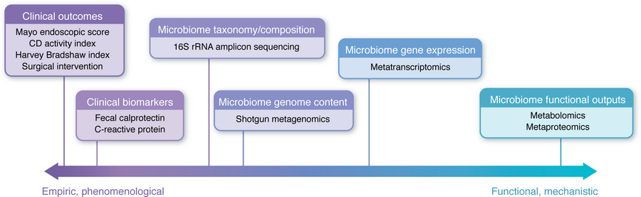 Metrics to quantify the success of microbiome-based interventions.
Metho...