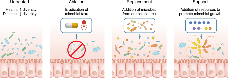 Strategies for MBIs.
The “Untreated” panel schematically depicts a micro...