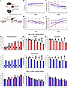 The effect of estrogen and obesity in a C57BL/6 mouse model.