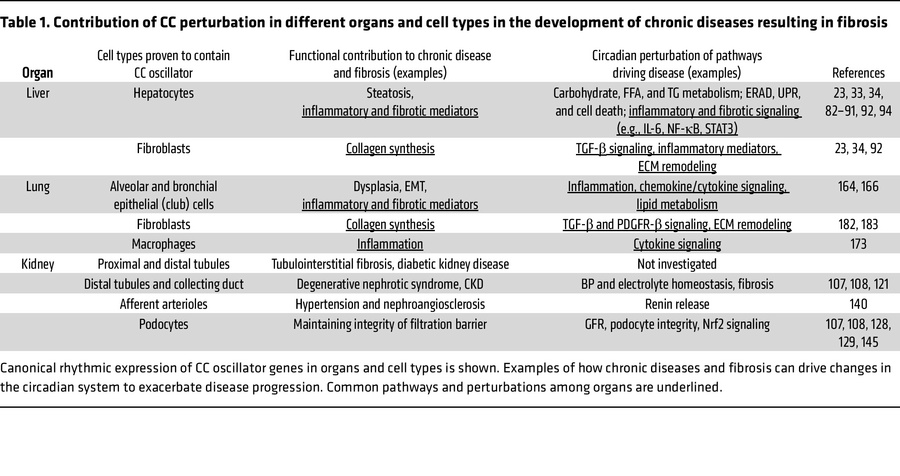 Contribution of CC perturbation in different organs and cell types in th...