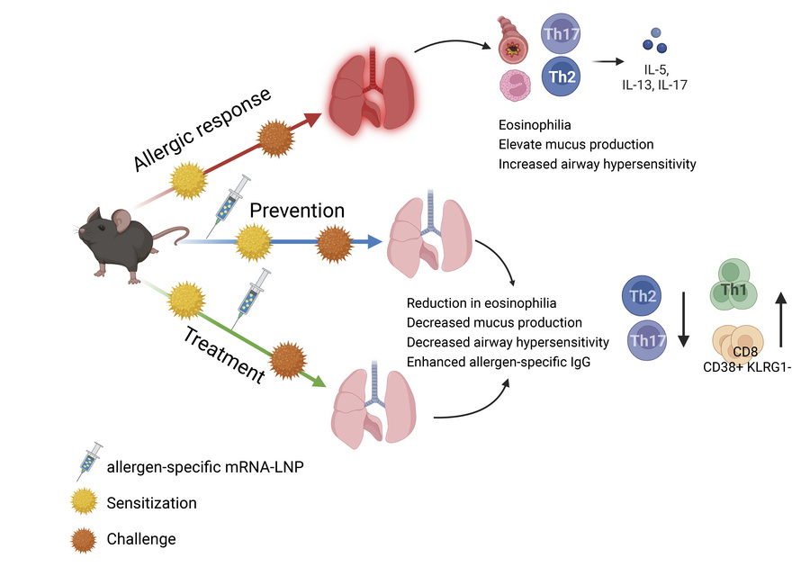 graphical abstract