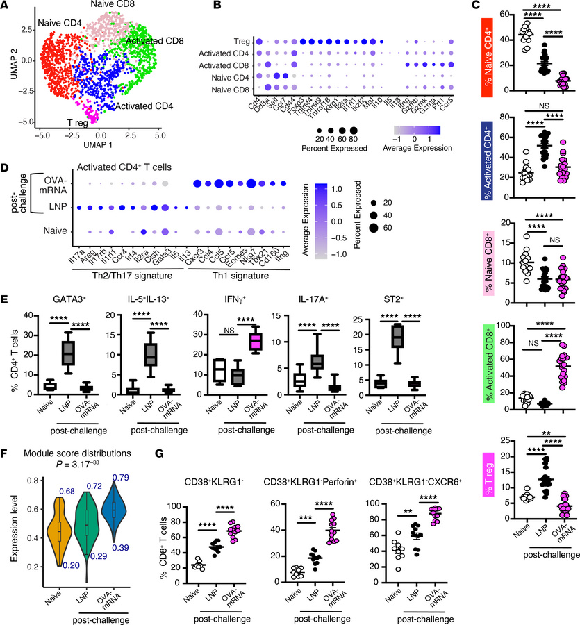 Allergen-specific mRNA-LNP immunization alters T cell responses in the l...