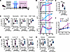 Treatment with allergen-specific mRNA-LNP mitigates asthma responses in mic