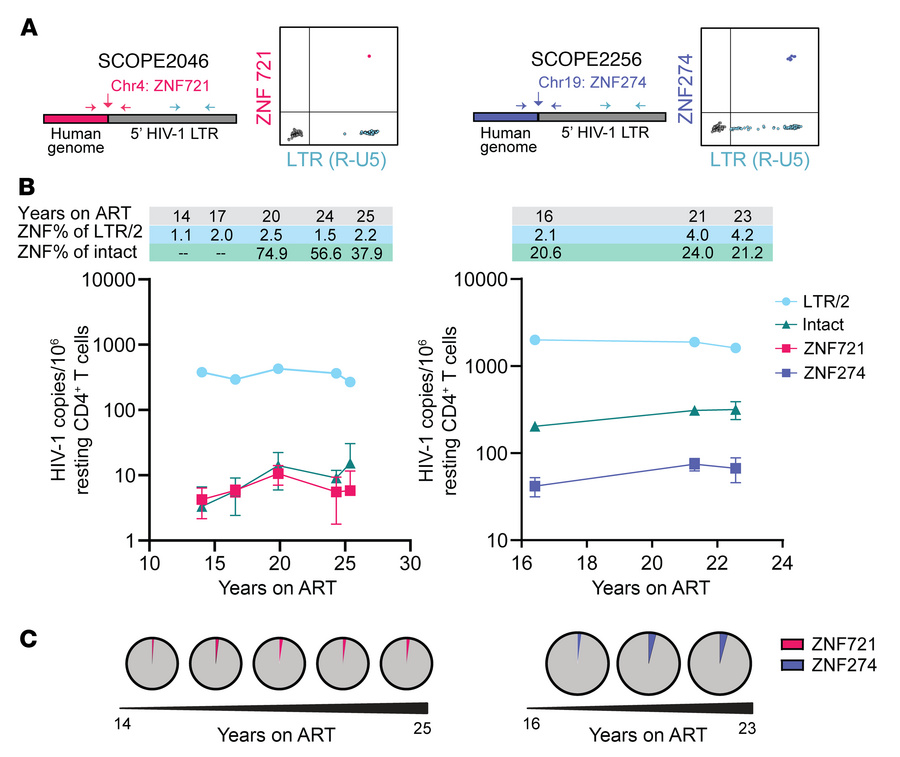 Persistence and prevalence of aNAb-resistant outgrowth clones integrated...