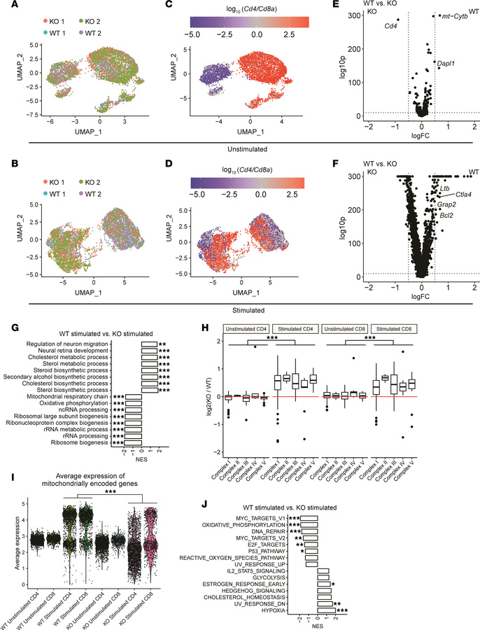 SDHA deficiency resulted in changes of gene signature in T cells after s...