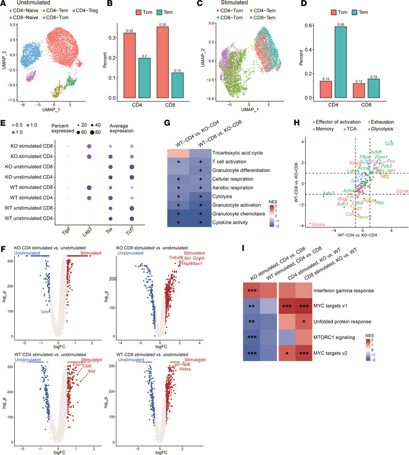 SDHA deficiency induces functional change of CD4+ and CD8+ T cells throu...