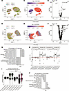 SDHA deficiency resulted in changes of gene signature in T cells after stim