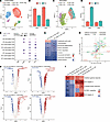 SDHA deficiency induces functional change of CD4+ and CD8+ T cells through