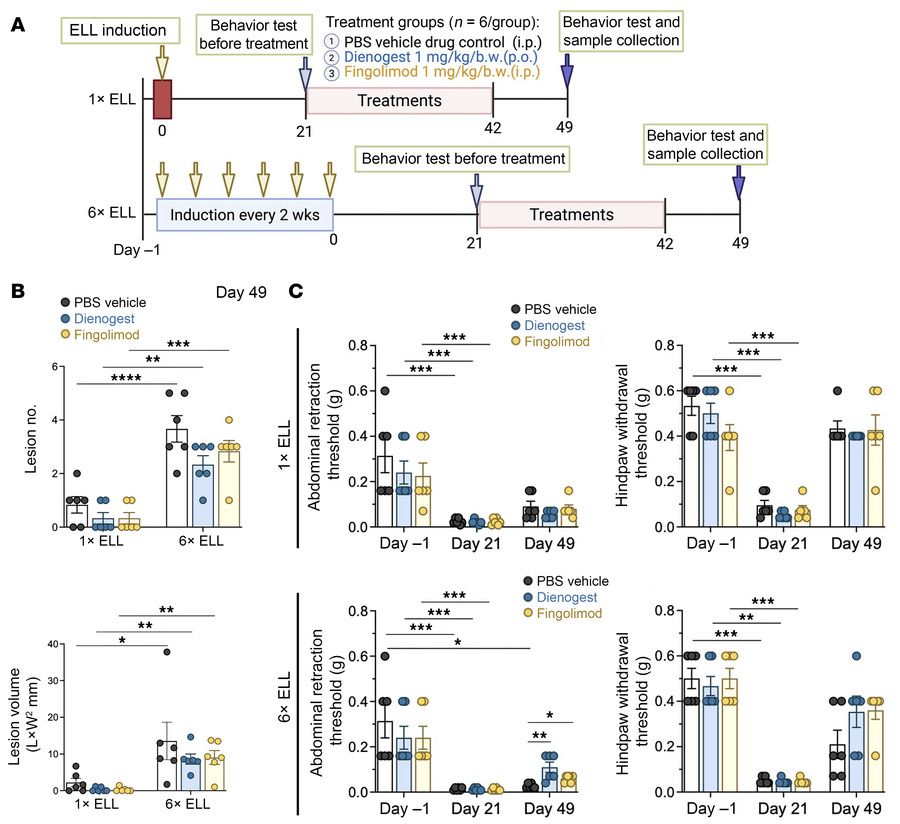 Evaluation of the effects of dienogest and fingolimod on endometriosis-l...