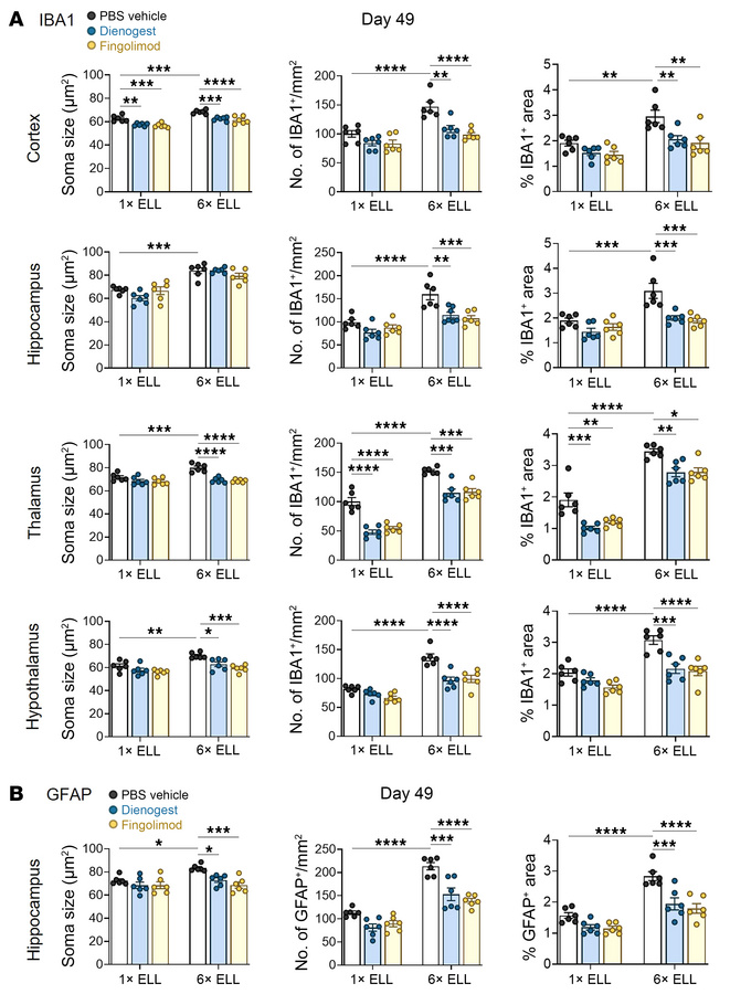 IBA1 and GFAP in the mouse brain.
Quantification of immunohistochemical ...