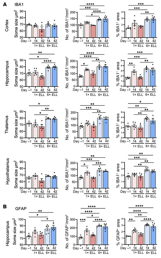 IBA1 and GFAP in the mouse brain.
Quantification of immunohistochemical ...