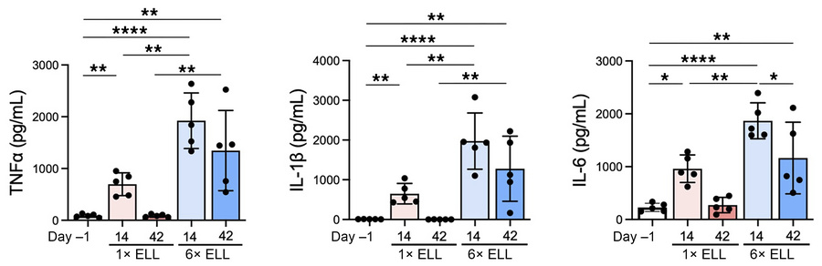 Pro-inflammatory cytokine levels (TNF-α, IL-1β, and IL-6) in the periton...