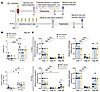 Evaluation of the effects of dienogest and fingolimod on endometriosis-like