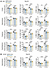 IBA1 and GFAP in the mouse brain.