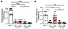 Evaluation of endometriosis-associated hyperalgesia followed by single indu