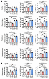 IBA1 and GFAP in the mouse brain.