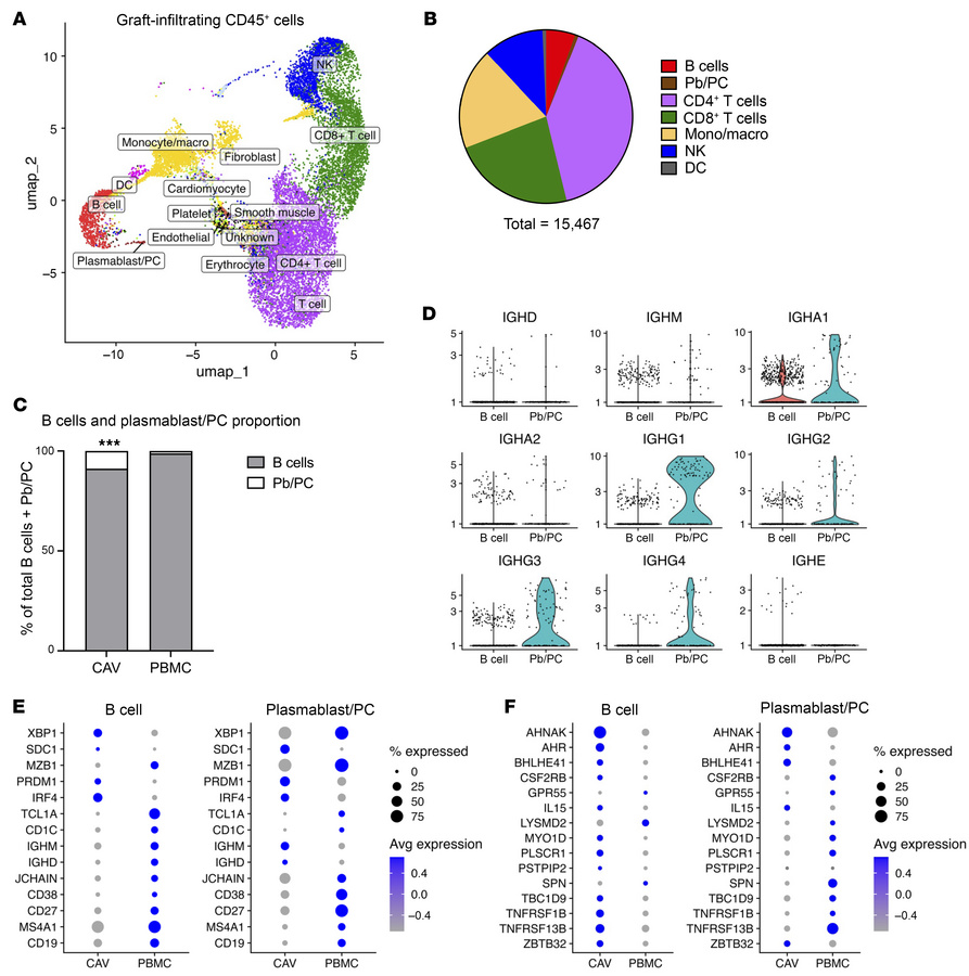 Innate-like IgG-switched plasmablasts/PCs are enriched in graft-infiltra...