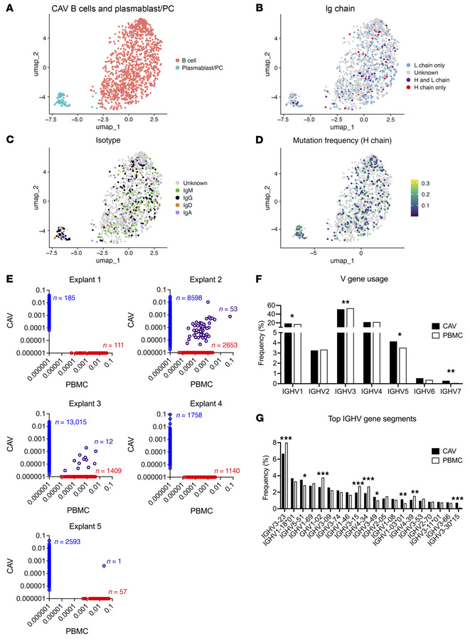 Clonal composition of graft-infiltrating B cells and plasmablasts/PCs in...