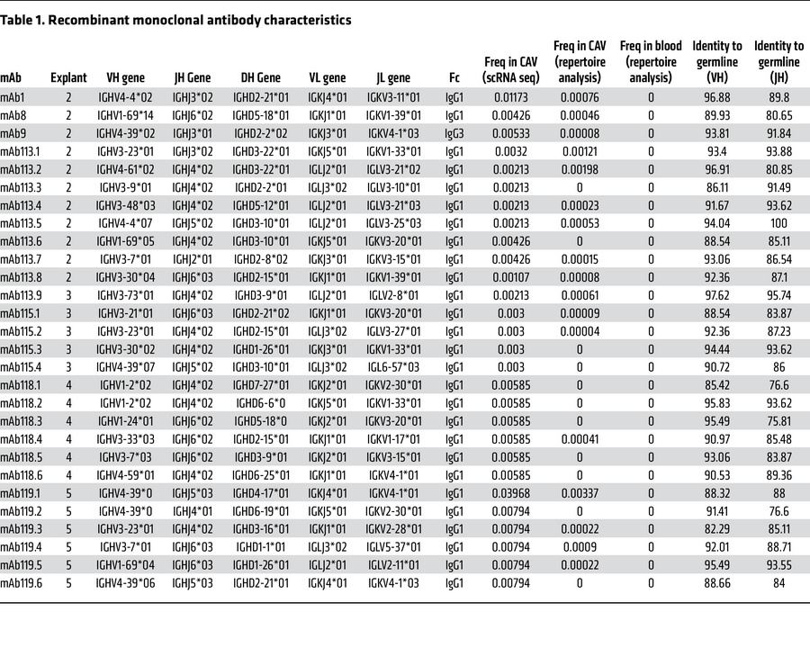 Recombinant monoclonal antibody characteristics