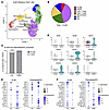 Innate-like IgG-switched plasmablasts/PCs are enriched in graft-infiltrates