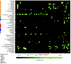 Reactivity profiles of graft-infiltrating PCs in CAV.
