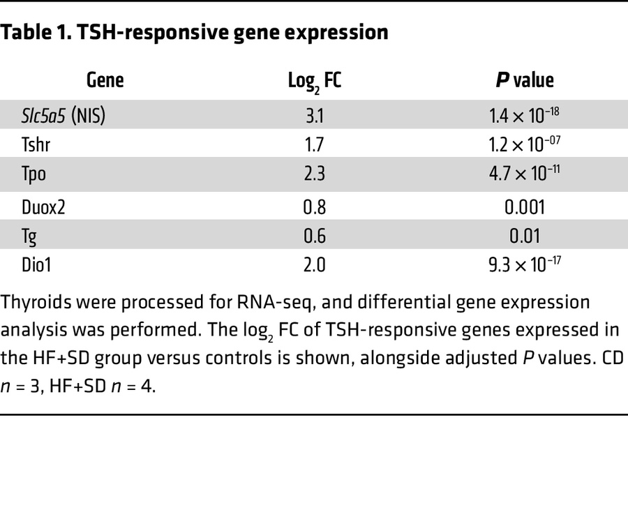 TSH-responsive gene expression
