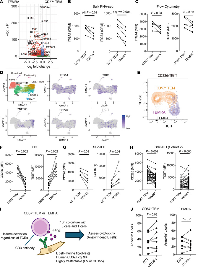 CD226 enhances the activation of CD57+ Tem cells.
(A) DEG analysis betwe...