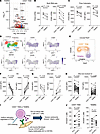 CD226 enhances the activation of CD57+ Tem cells.