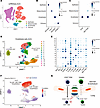 Endothelial cells are the main source of CD155 and CD112 in ILD tissues.
