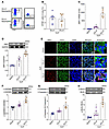 DLL4+ neutrophils induce lung endothelial cell PANoptosis in sepsis.
