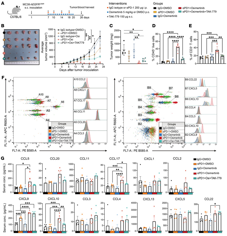 Impairment of ICB efficacy by EGFR activation is partially dependent on ...