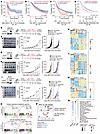 EGFR mutation, amplification, and overexpression diminish the antitumor eff