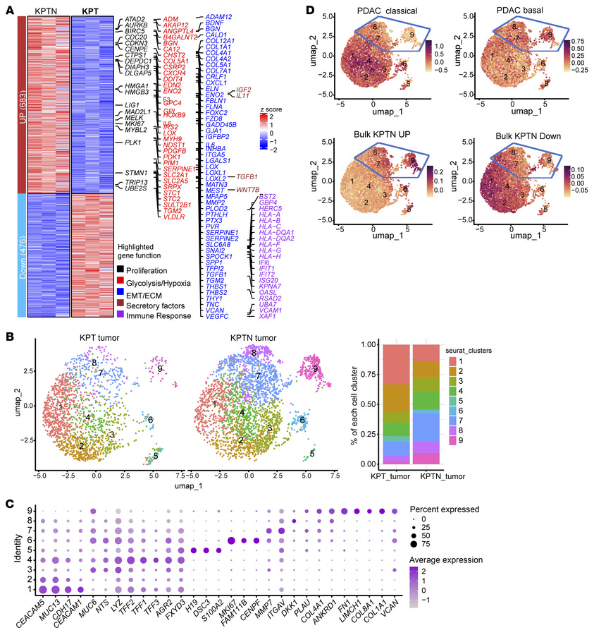 Molecular dissection of NF2 loss–induced tumor evolution in the in vivo ...