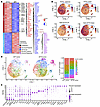 Molecular dissection of NF2 loss–induced tumor evolution in the in vivo con